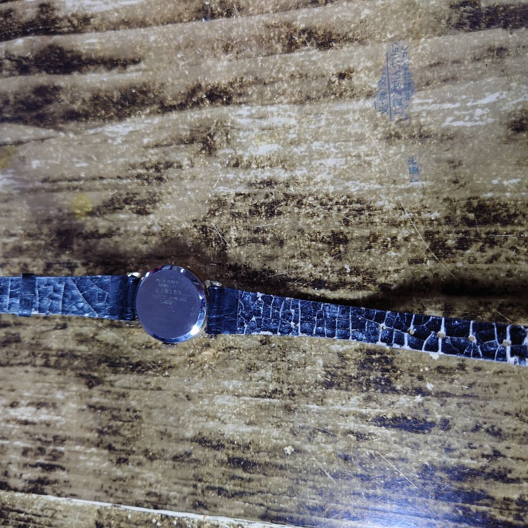 Seiko Analog Quartz Women