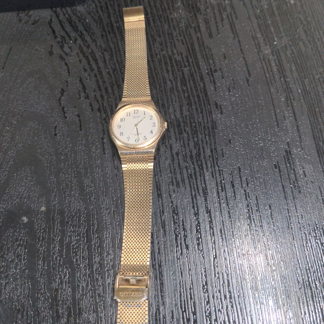 Citizen Analog Quartz Men