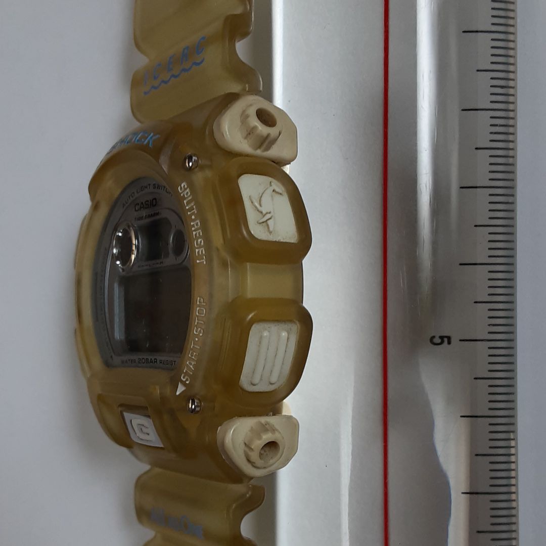 G-Shock ICERC dolphin whale DW-9000 Digital Quartz Men