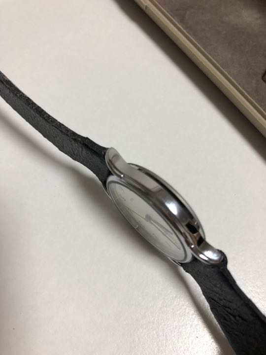 Citizen Analog Quartz Men