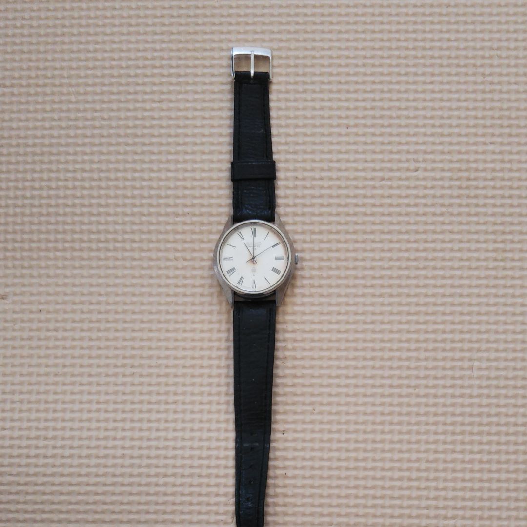 Seiko Analog Quartz Men