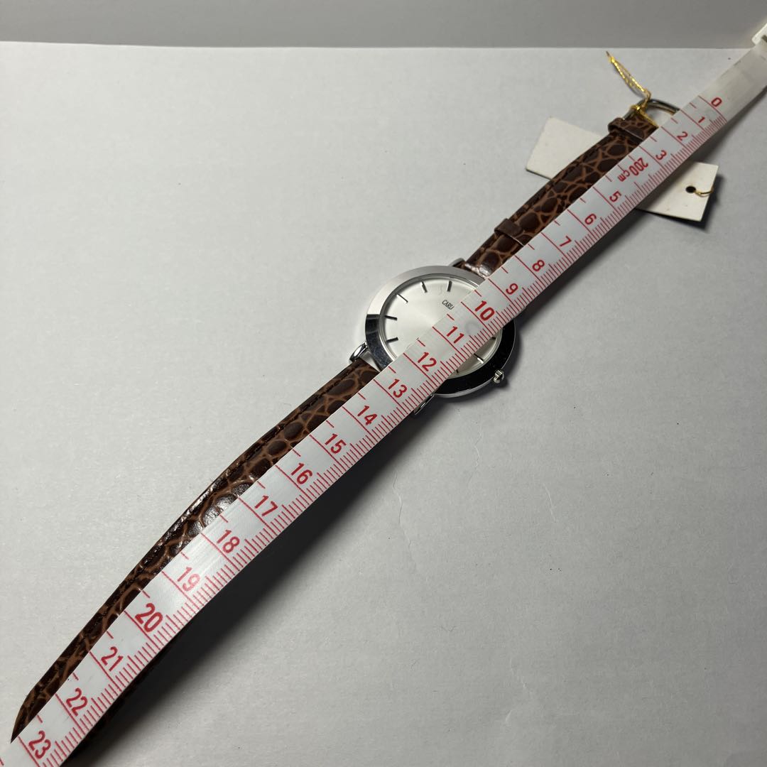 Carlo Caldini Analog Quartz Men カルロ・カルディーニ カルロカルディーニ Menwatch 稼動品