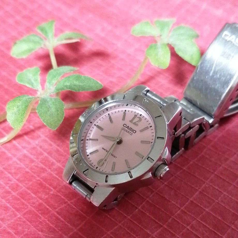Casio Analog Quartz Women