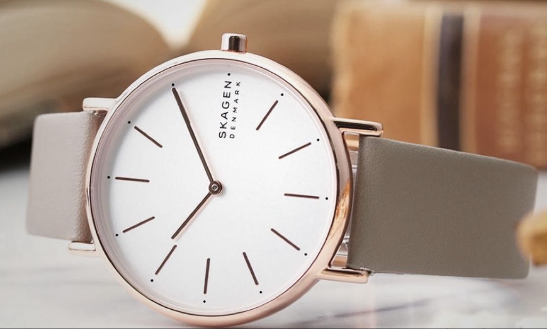 Skagen SKW3099 Analog Quartz Women