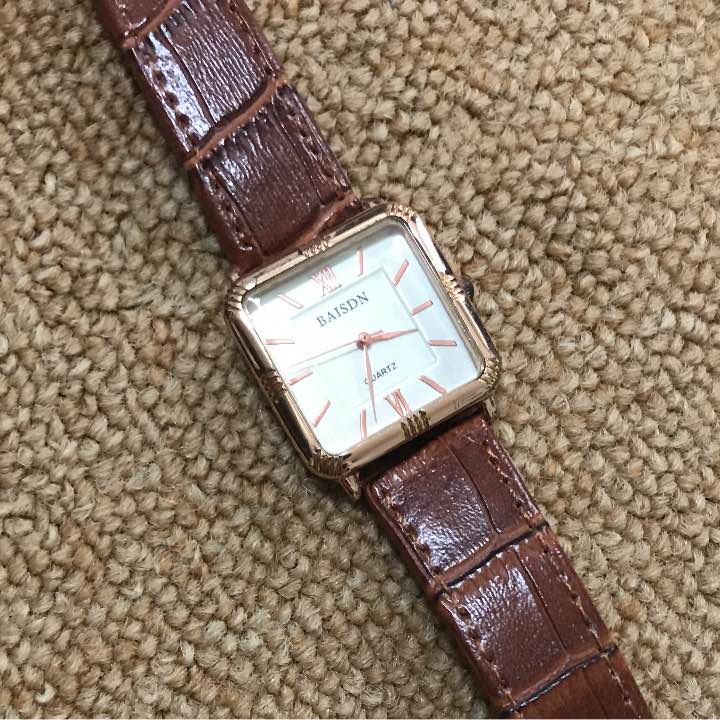 Baisdn Analog Quartz Men