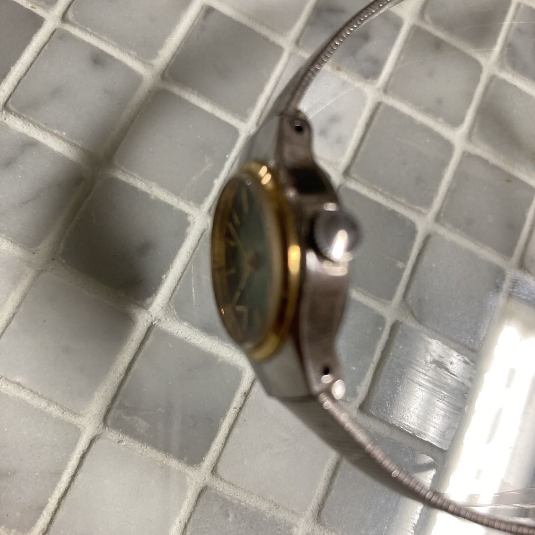 Citizen Analog Mechanical (Manual) Women