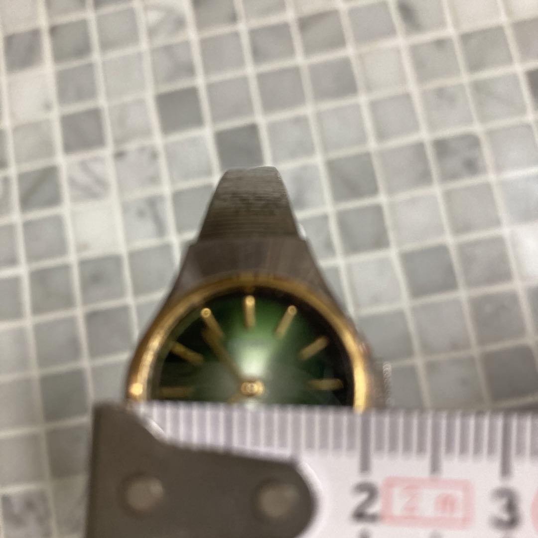 Citizen Analog Mechanical (Manual) Women