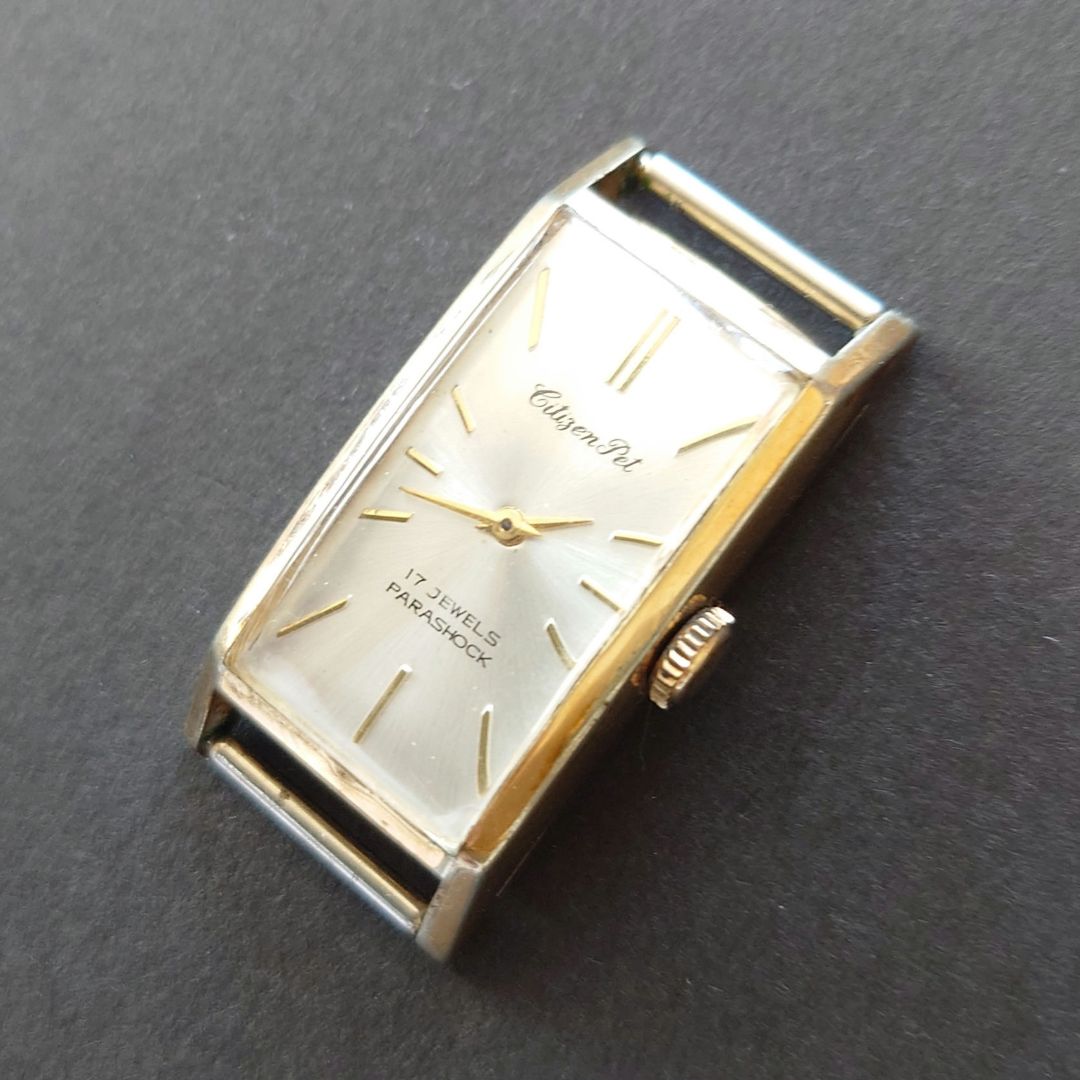 Citizen Pet Analog Mechanical (Manual) Men