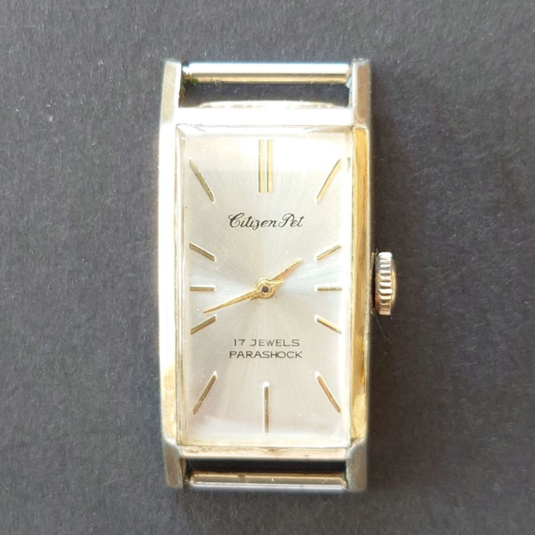 Citizen Pet Analog Mechanical (Manual) Men