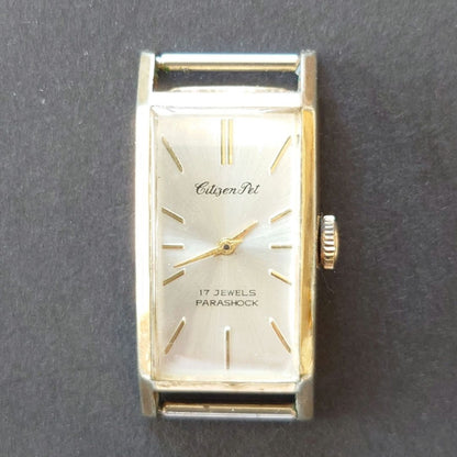 Citizen Pet Analog Mechanical (Manual) Men