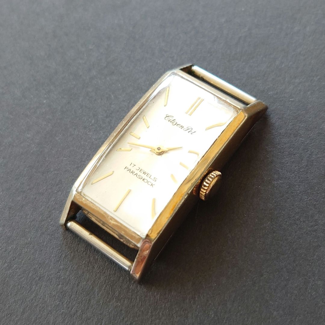 Citizen Pet Analog Mechanical (Manual) Men