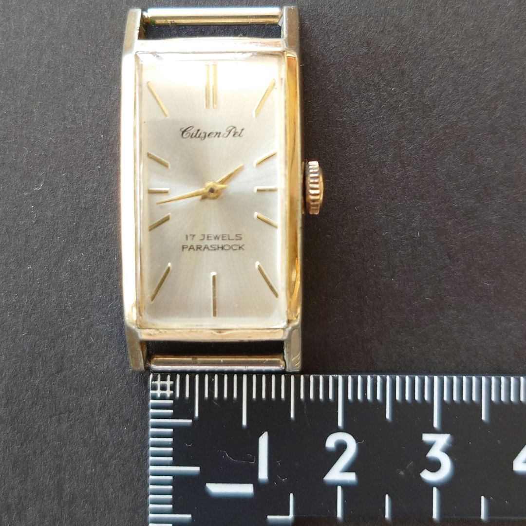 Citizen Pet Analog Mechanical (Manual) Men