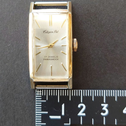 Citizen Pet Analog Mechanical (Manual) Men