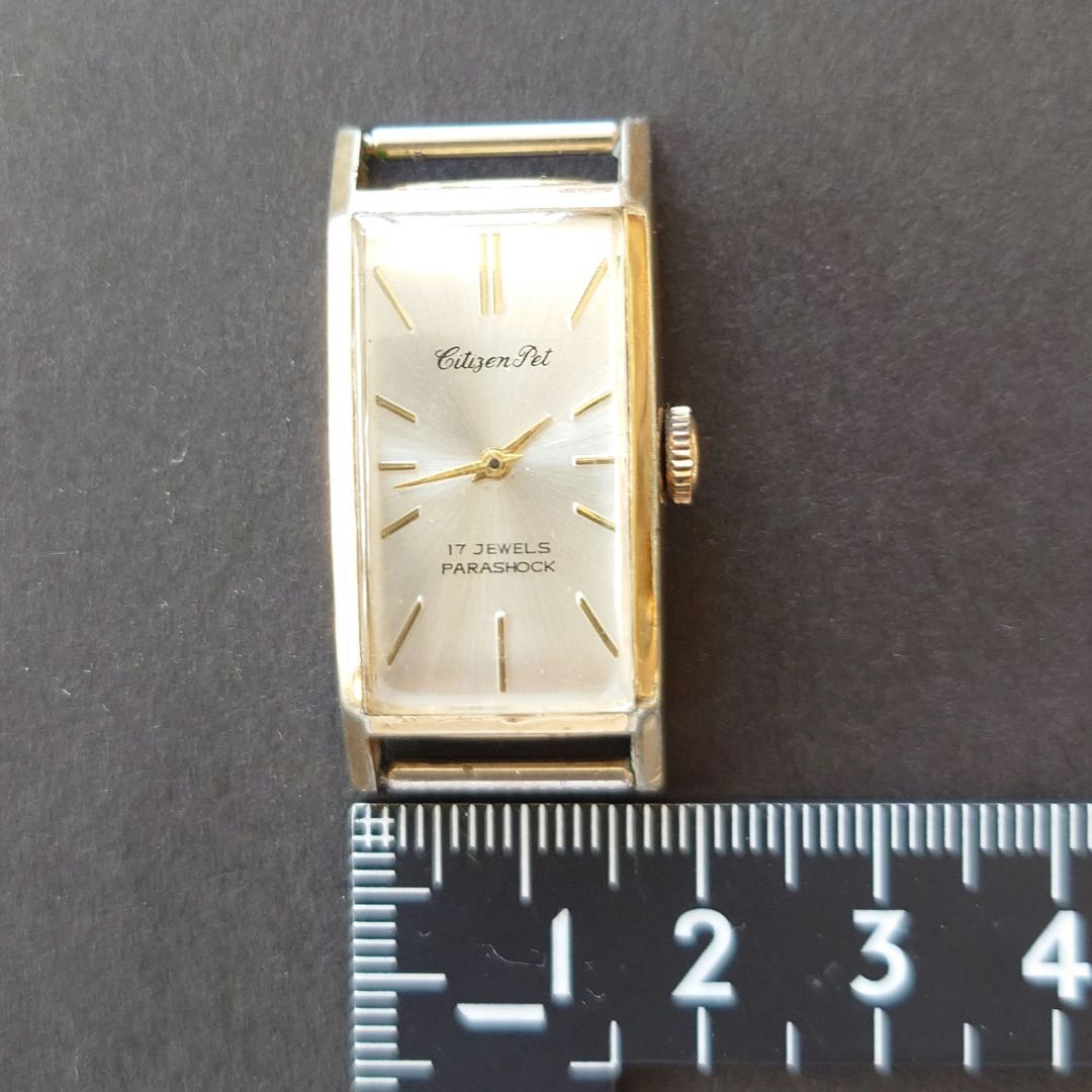 Citizen Pet Analog Mechanical (Manual) Men