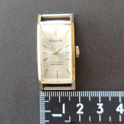 Citizen Pet Analog Mechanical (Manual) Men