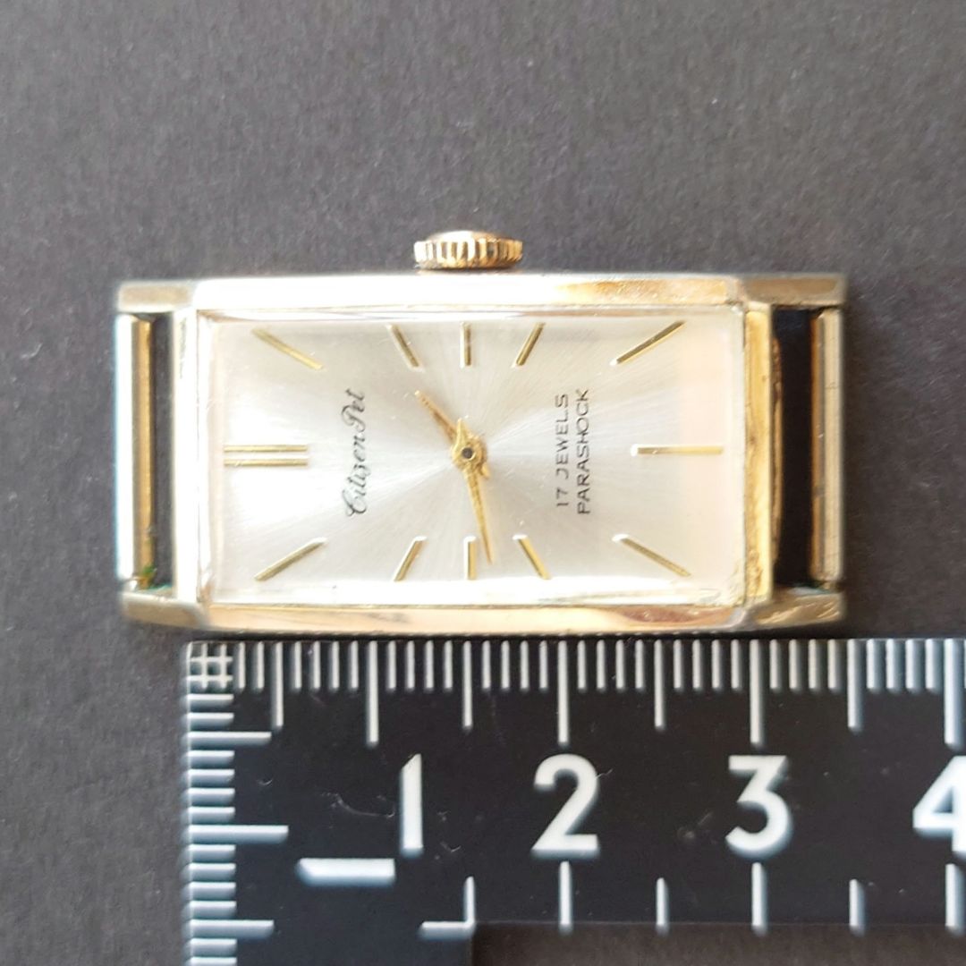 Citizen Pet Analog Mechanical (Manual) Men