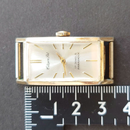 Citizen Pet Analog Mechanical (Manual) Men