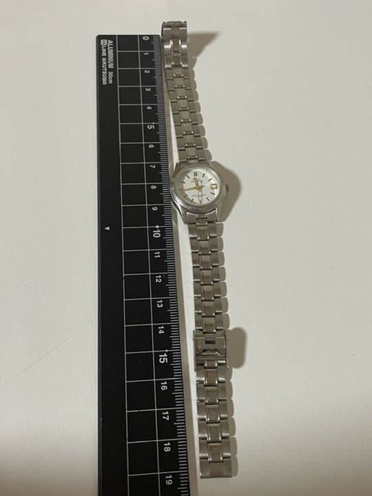 Frank Valentino Analog Quartz Women