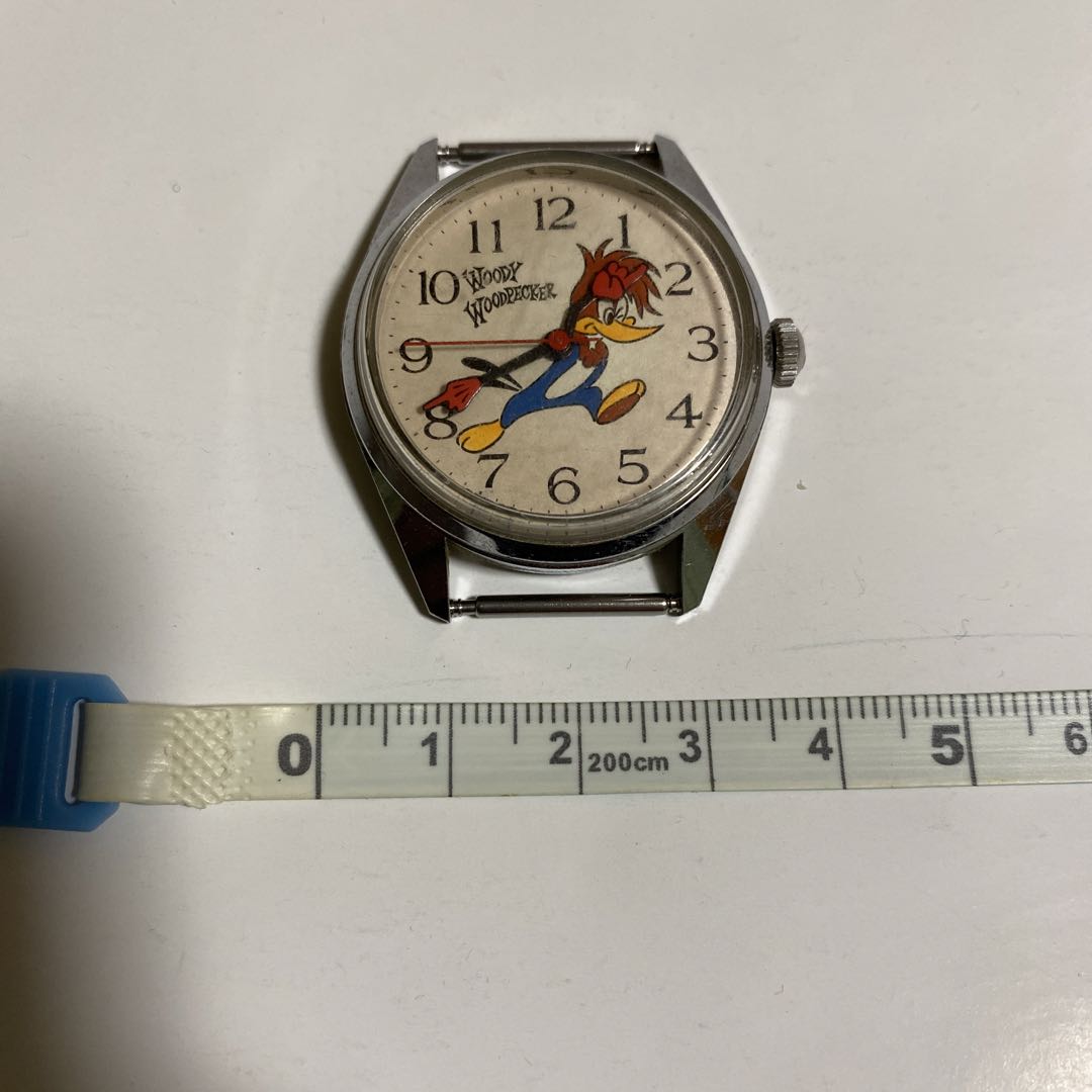 Citizen Woodpecker Analog Mechanical (Manual) Women