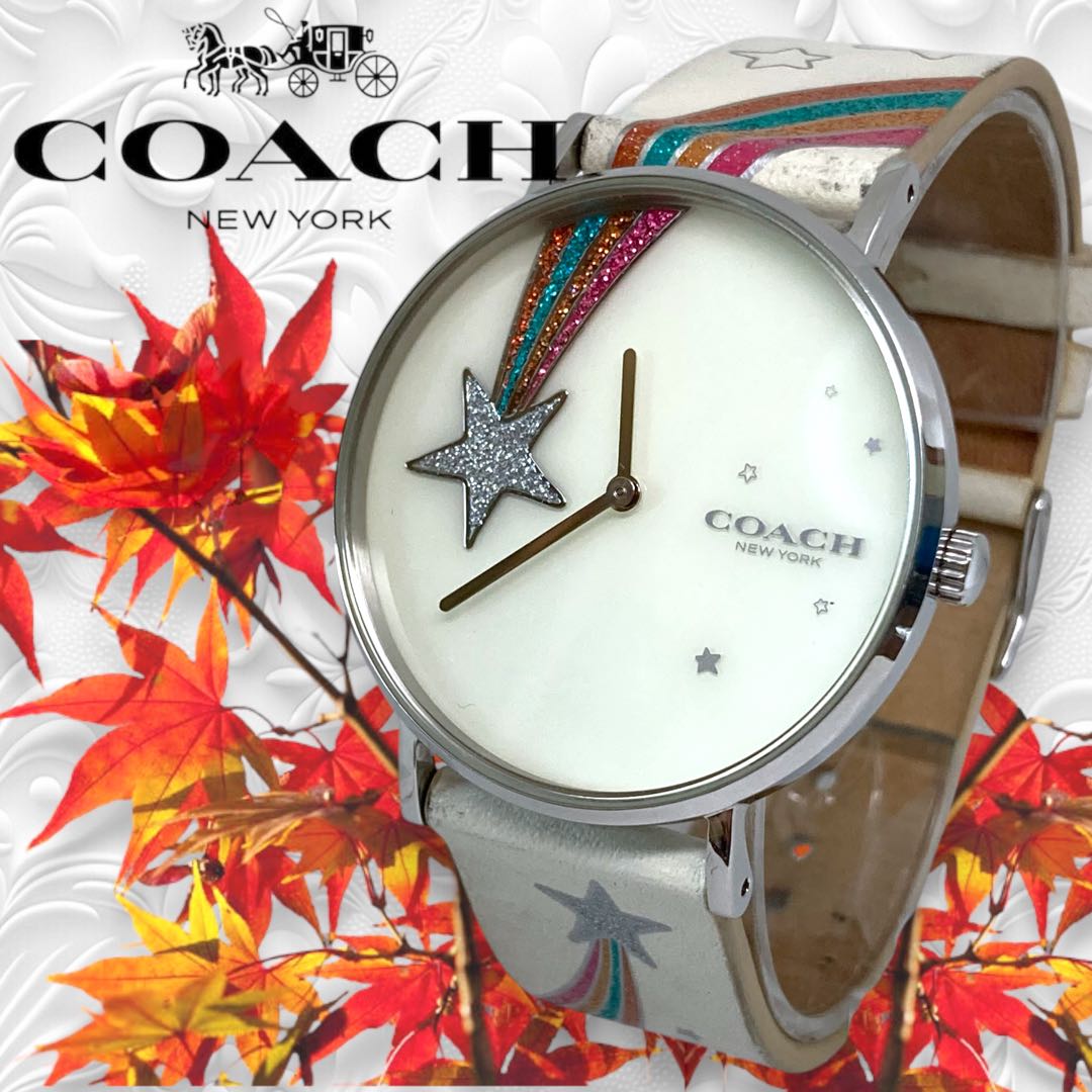 Coach Analog Quartz Women Watch Star Rainbow Silver Excellent Condition