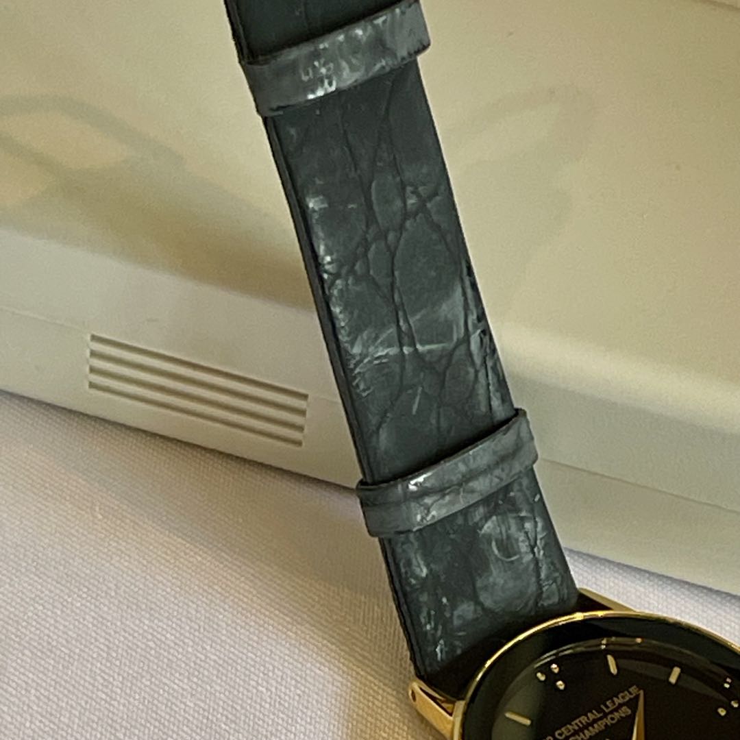 Citizen VEGA JUNCTION Analog Quartz Men