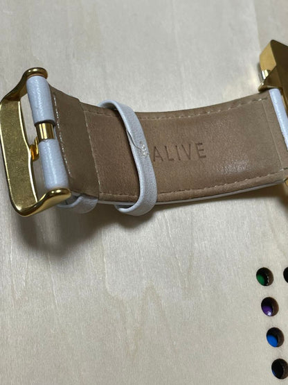 Alive ALVAMST Analog Quartz Men