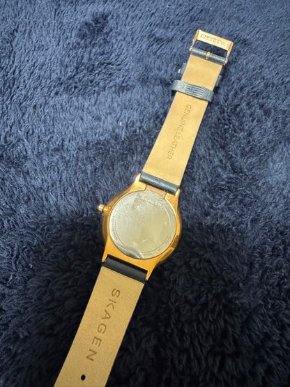 Skagen SKW2706 Analog Quartz Women
