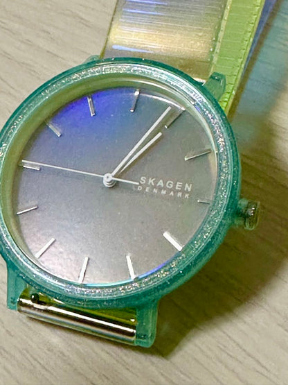 Skagen Analog Quartz Men