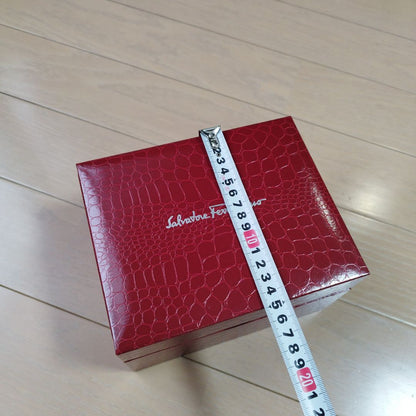 Ferragamo Analog Mechanical (Manual) Women