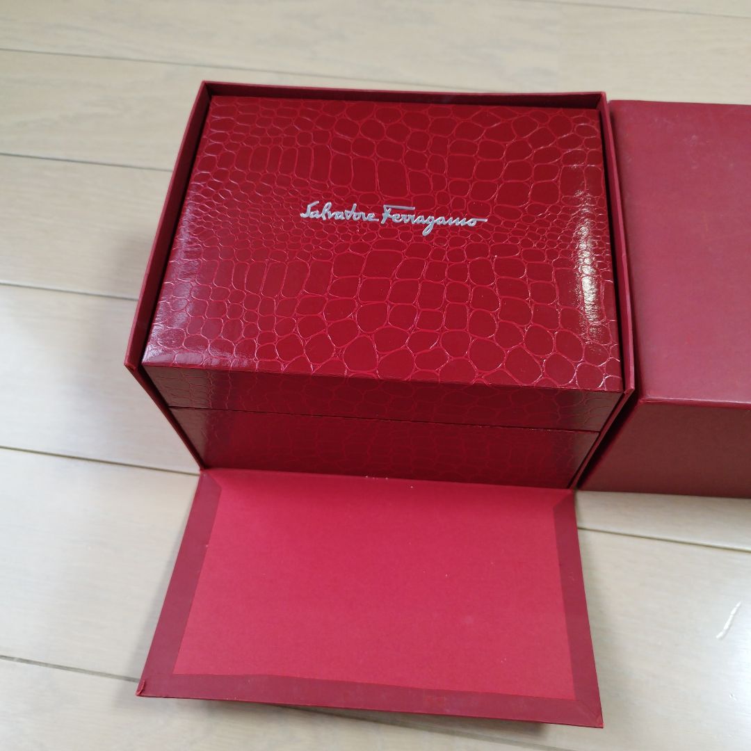 Ferragamo Analog Mechanical (Manual) Women
