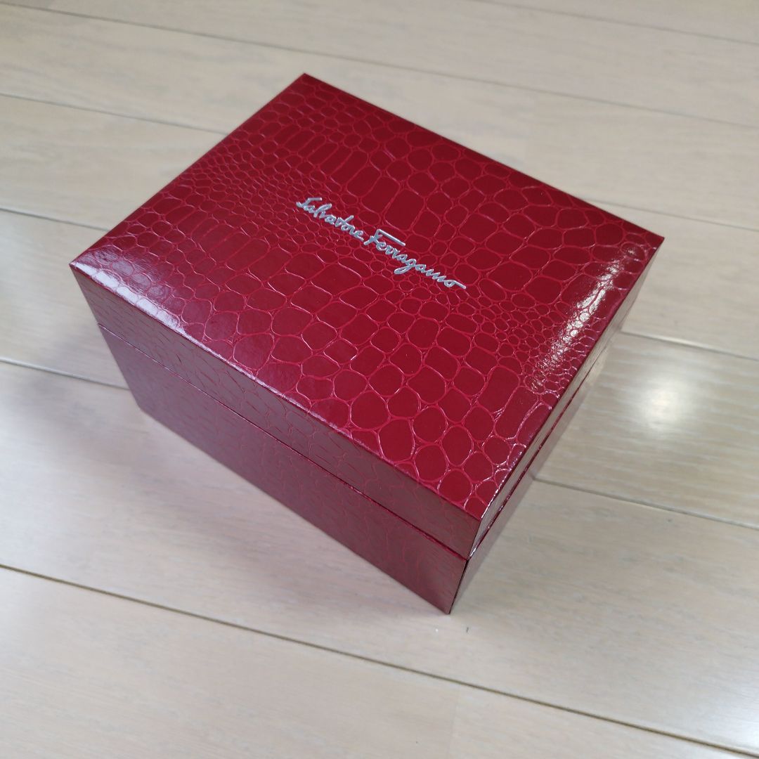 Ferragamo Analog Mechanical (Manual) Women
