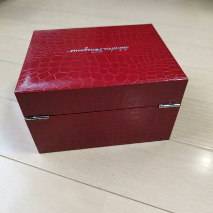 Ferragamo Analog Mechanical (Manual) Women
