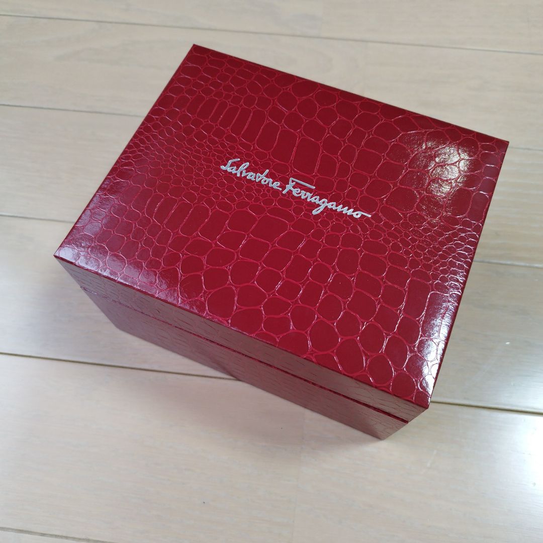 Ferragamo Analog Mechanical (Manual) Women