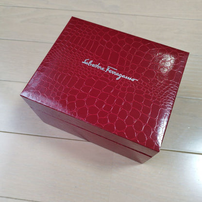 Ferragamo Analog Mechanical (Manual) Women