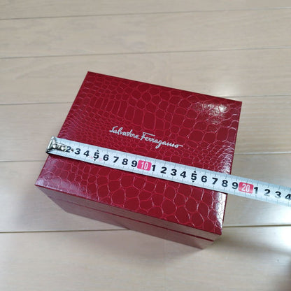 Ferragamo Analog Mechanical (Manual) Women