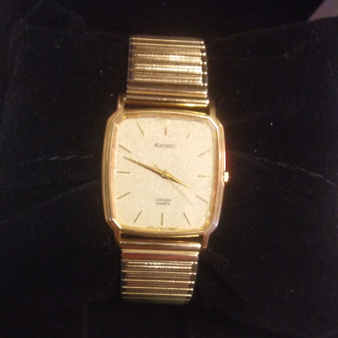 Citizen Exceed Analog Quartz Men