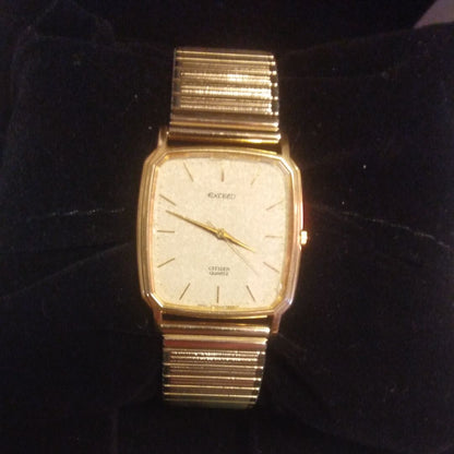 Citizen Exceed Analog Quartz Men