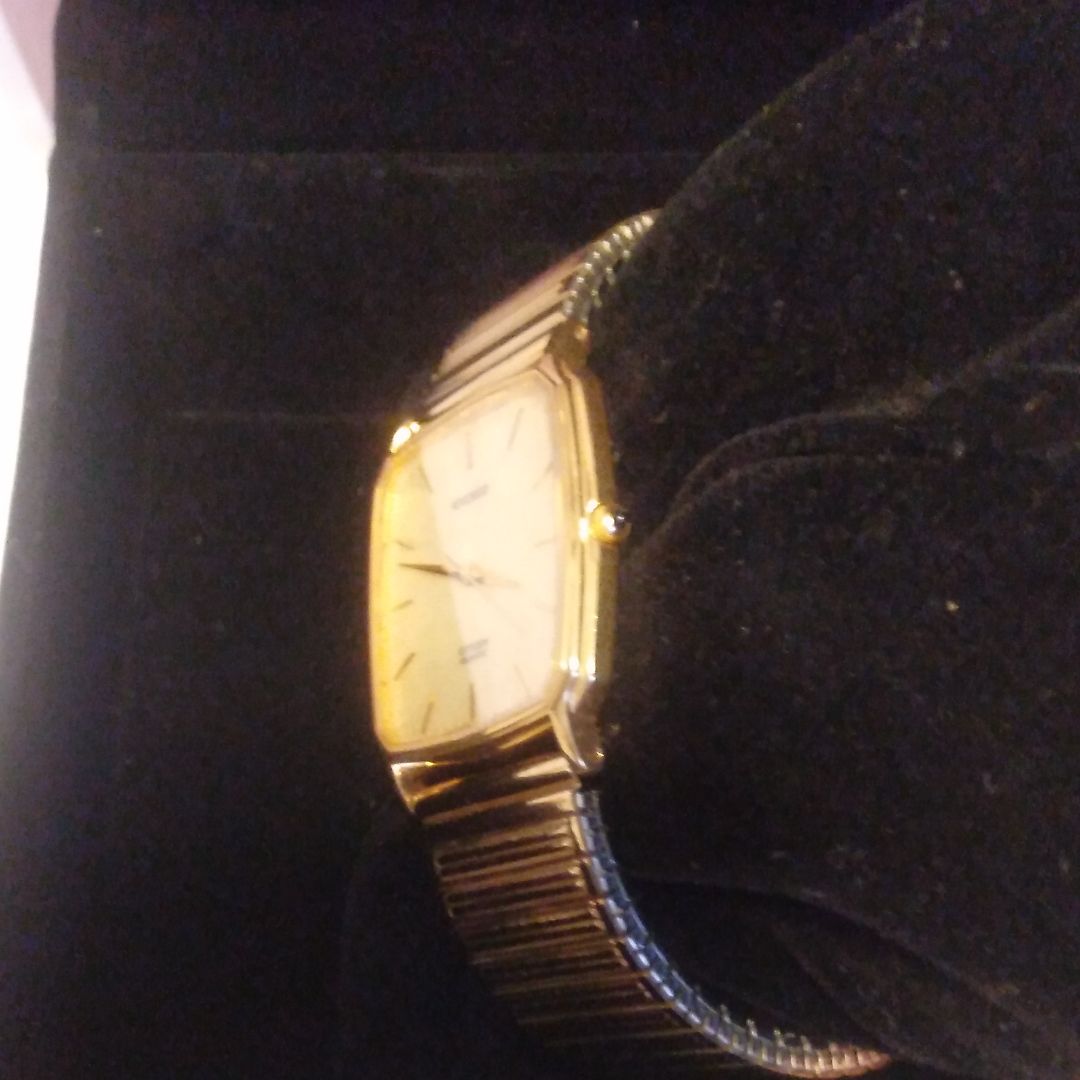 Citizen Exceed Analog Quartz Men