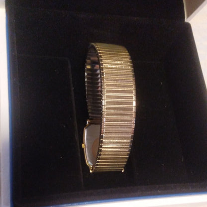 Citizen Exceed Analog Quartz Men