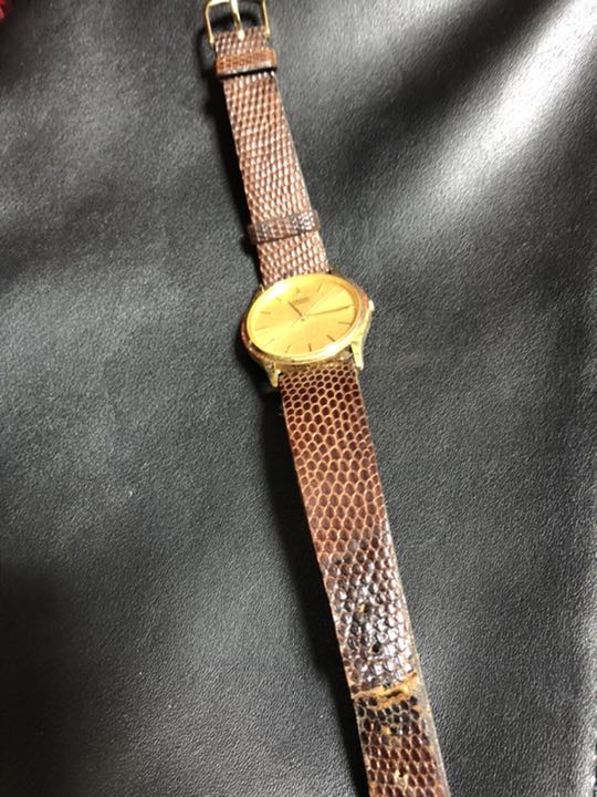 Seiko Analog Quartz Men