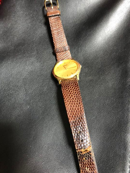 Seiko Analog Quartz Men
