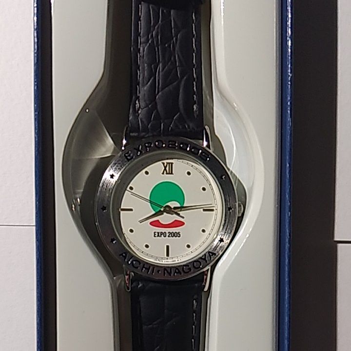 Citizen Q&Q Analog Quartz Women 21St Century World'S Expo