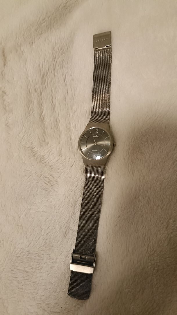 Skagen Analog Quartz Men