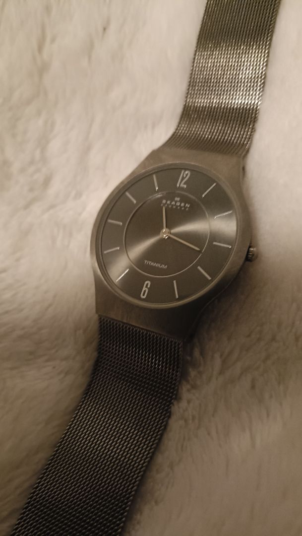 Skagen Analog Quartz Men
