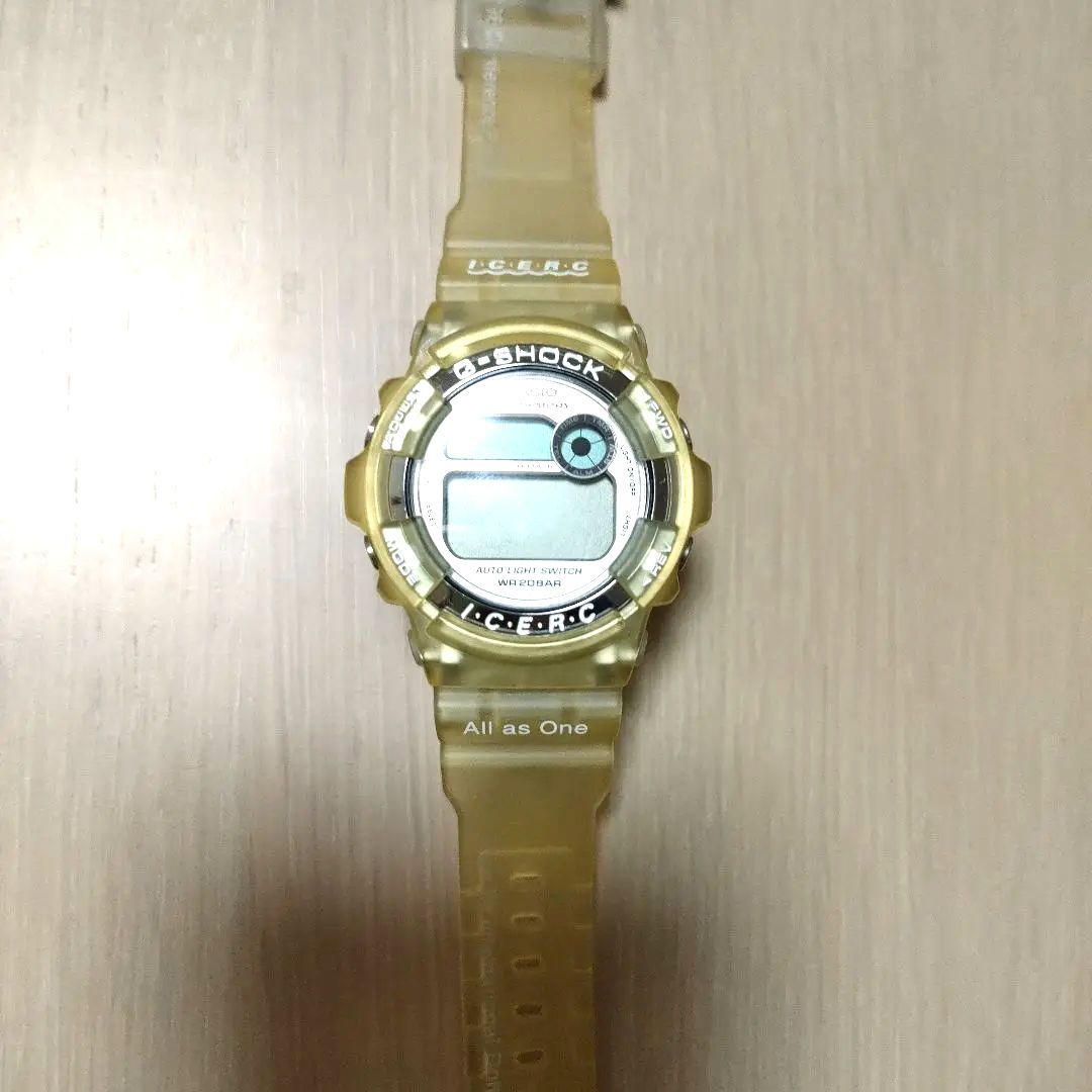 G-Shock ICERC dolphin whale DW-9200K Digital Quartz Men