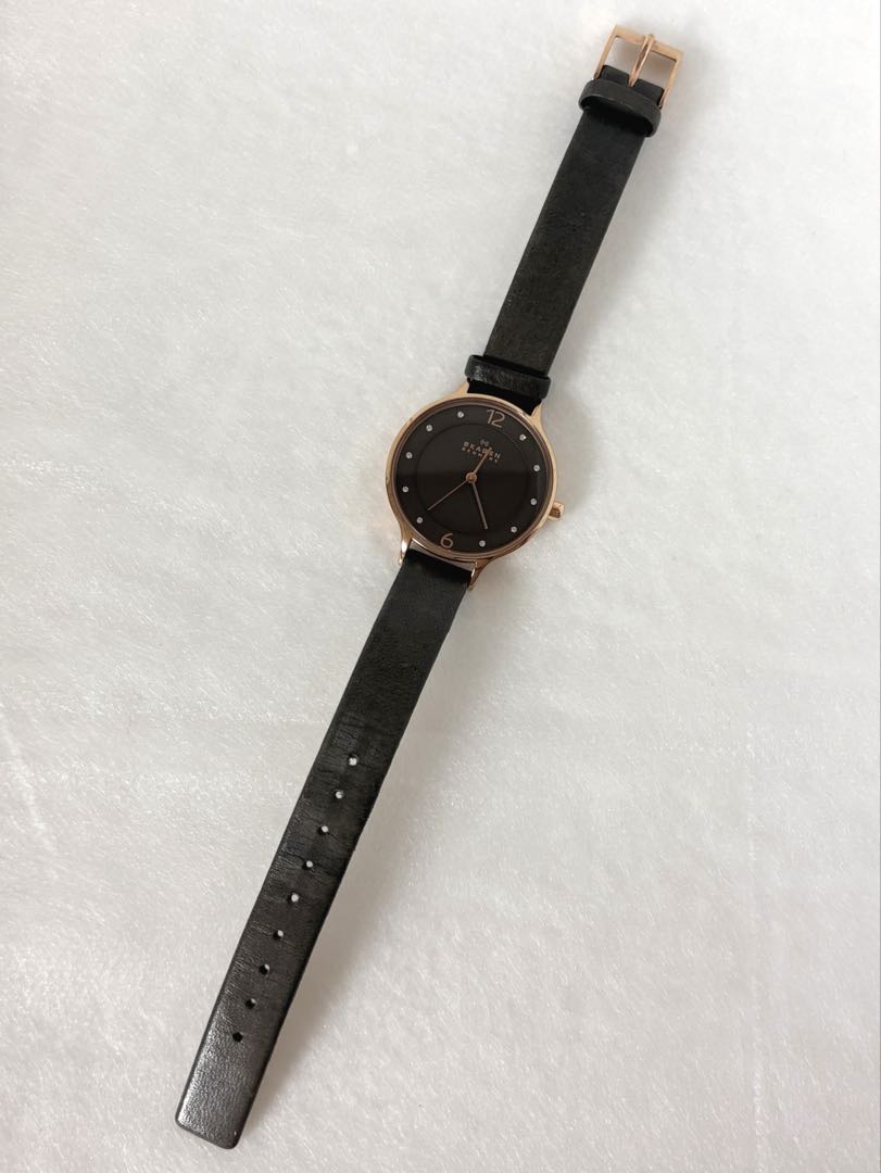 Skagen SKW2267 Analog Quartz Women