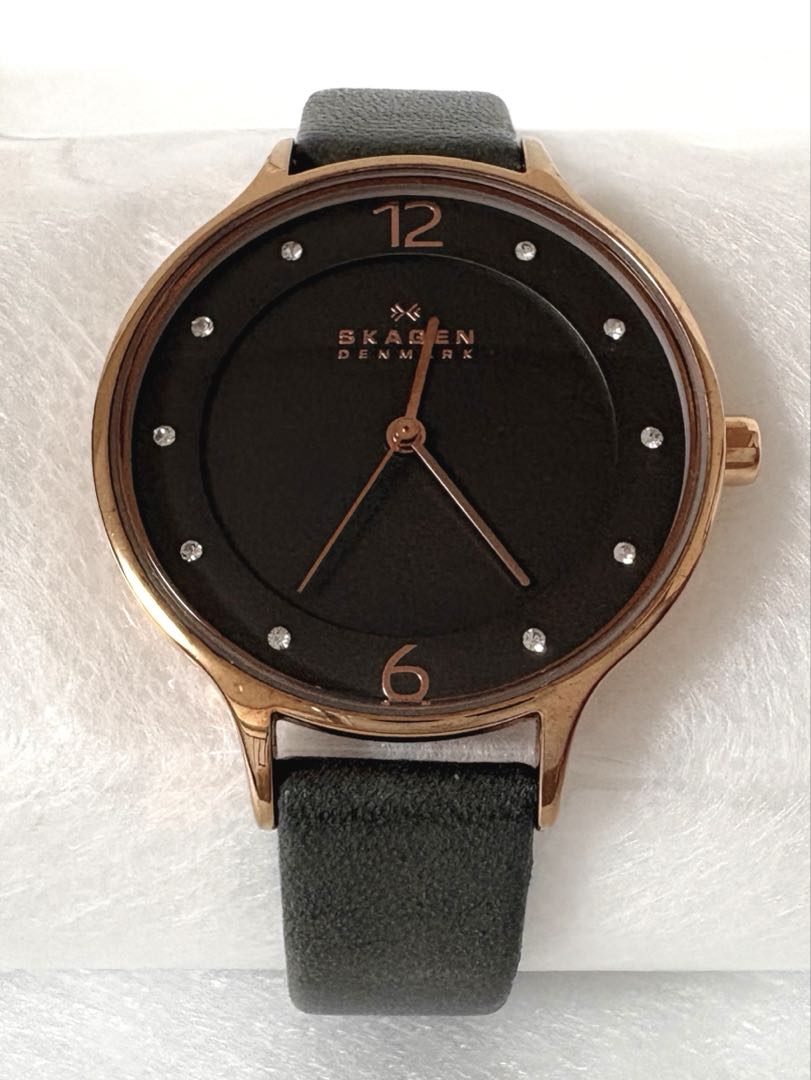 Skagen SKW2267 Analog Quartz Women