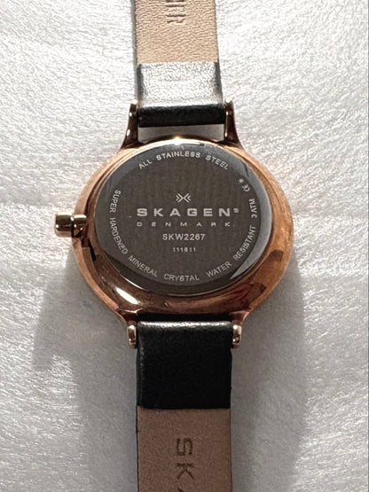 Skagen SKW2267 Analog Quartz Women