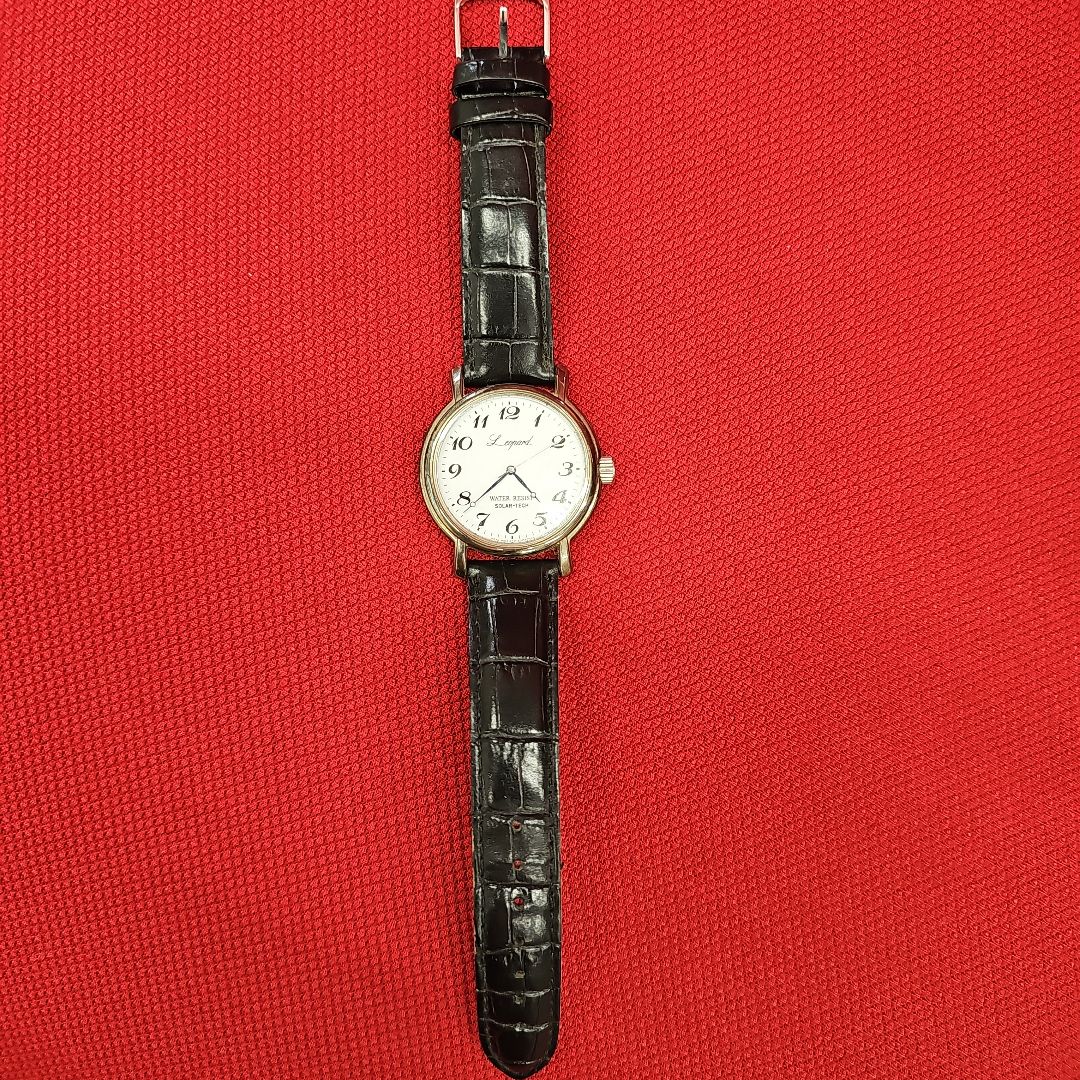 Citizen leopard E031-S027047 Analog Solar Men