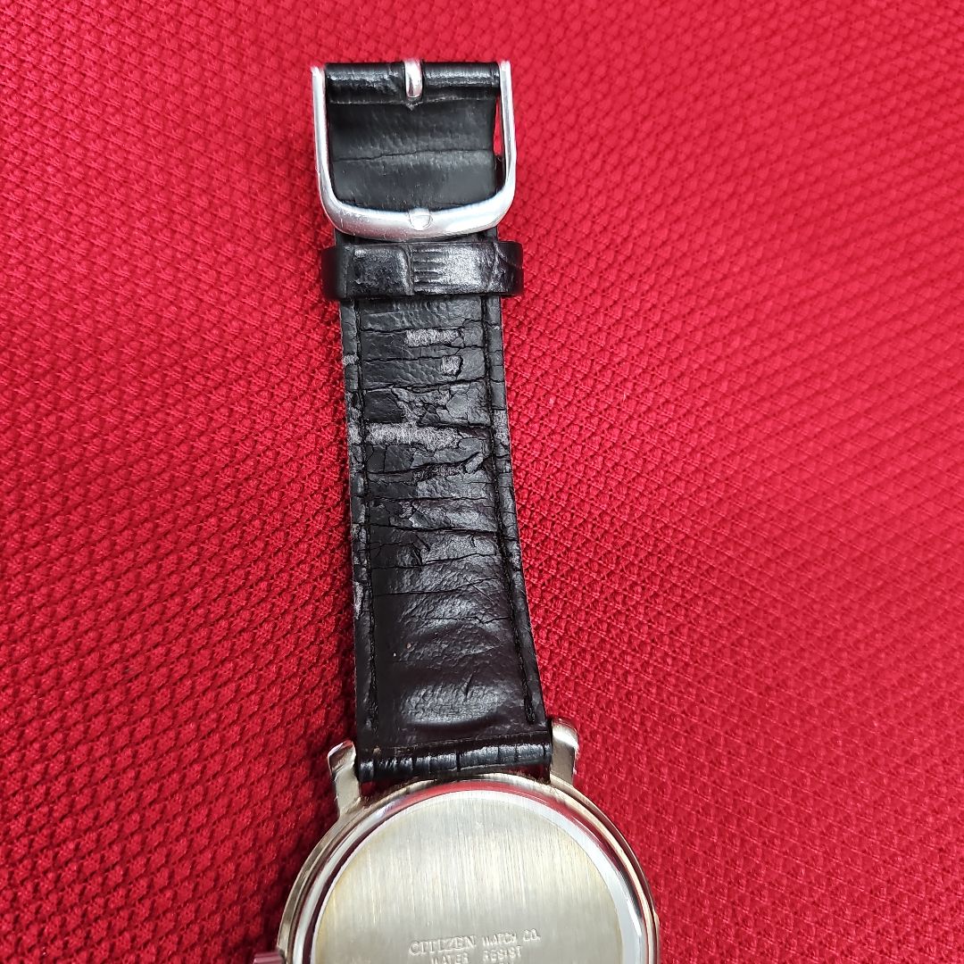 Citizen leopard E031-S027047 Analog Solar Men